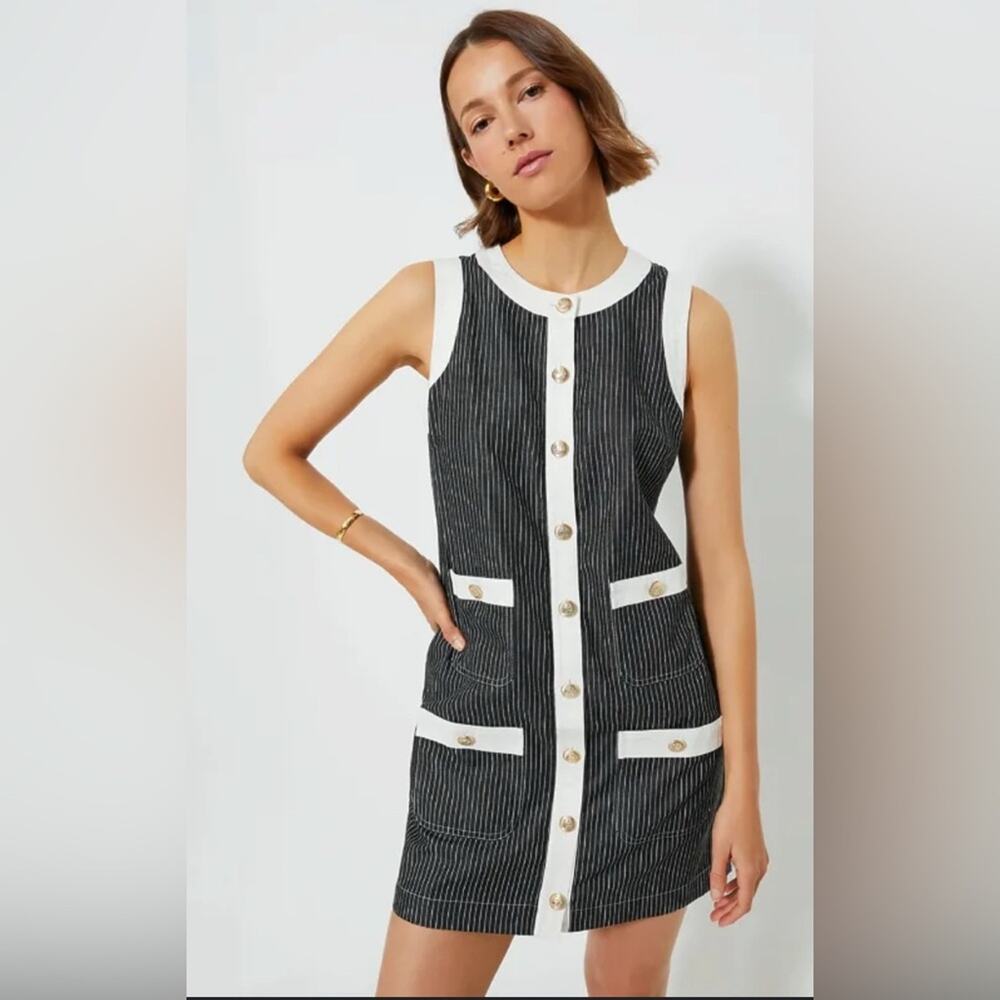 NWT POMANDER PLACE Black Stripe Voileta Dress Size Large Classic Old Money